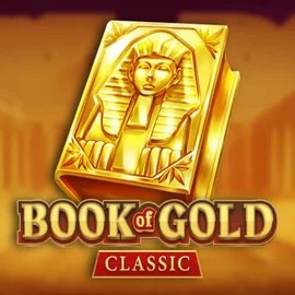 game logo by Playson on herospincasino.eu.com